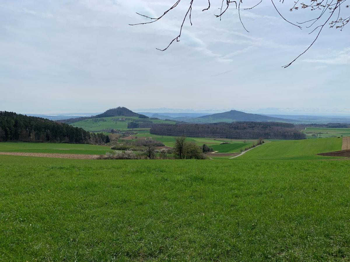 Ferienwohnung Im Glockenziel Engen Bagian luar foto
